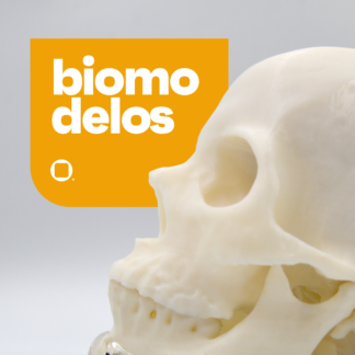 Biomodelos