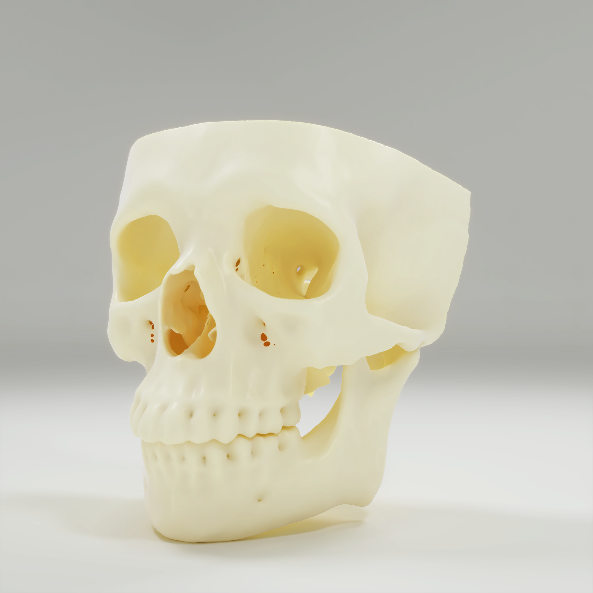 Biomodelo de Face completa