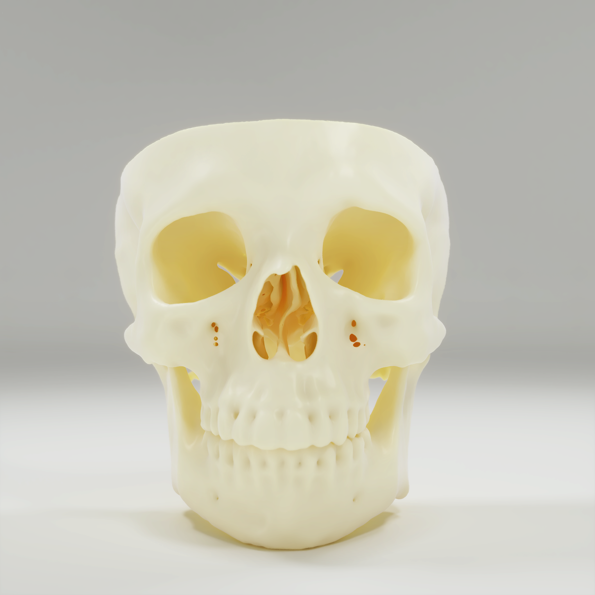 Biomodelo de Face completa - Imagem 2