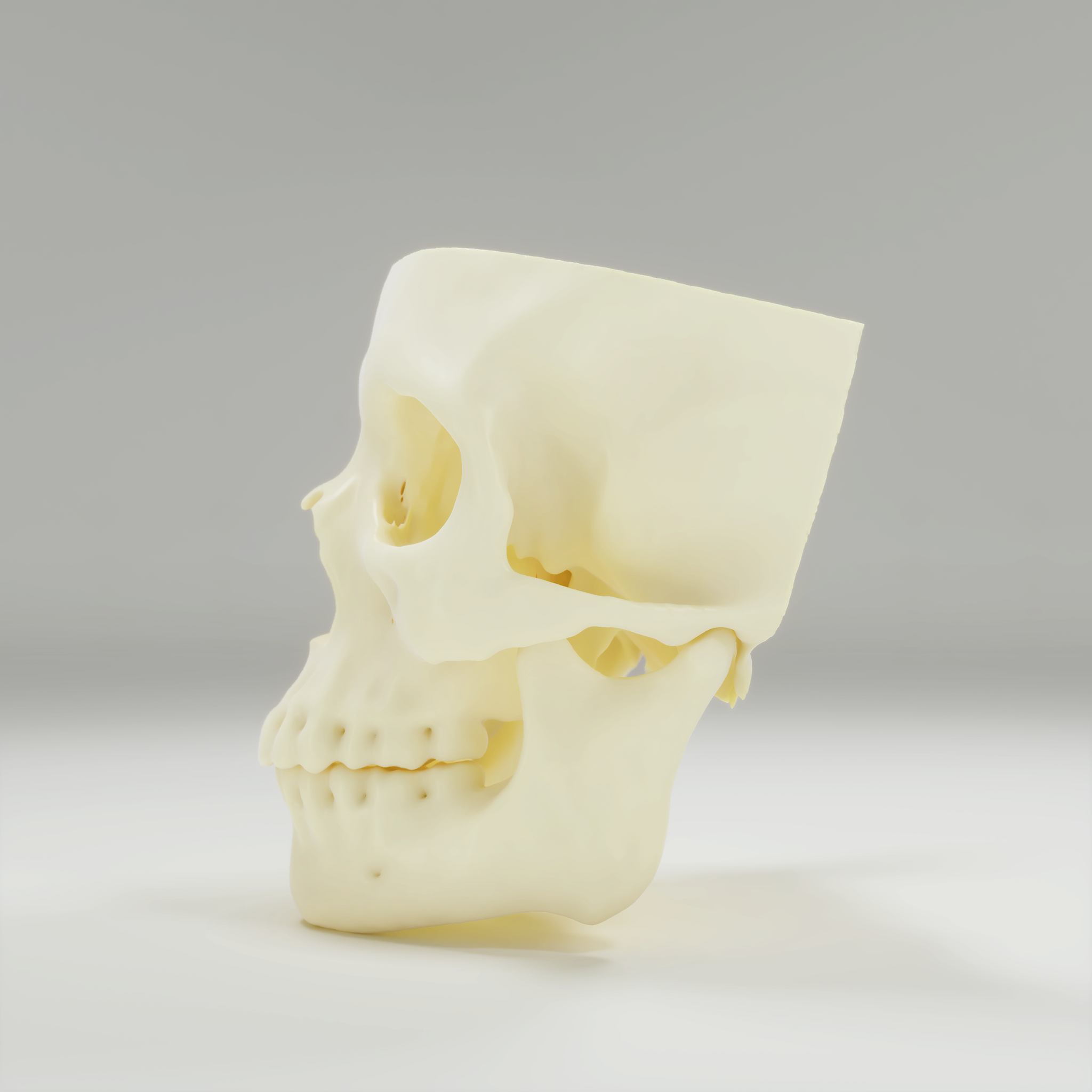 Biomodelo de Face completa - Imagem 3